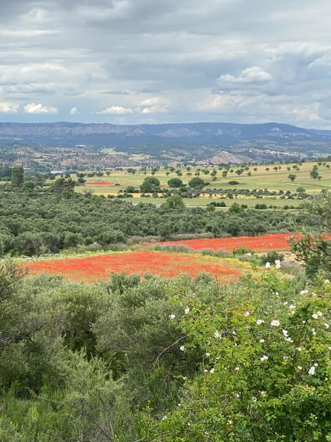Madrid: Unspoiled Spain for Foodies & Nature s - The Feast: Supporting Local Farmers Through Food