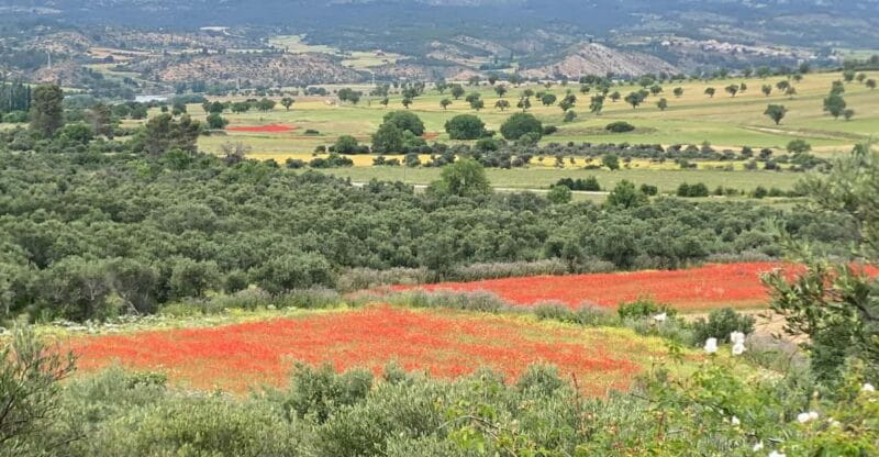 Madrid: Unspoiled Spain for Foodies & Nature s - FAQ