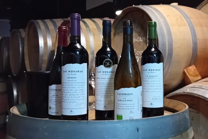 Madrid Wine Tour: Visit Two Wineries with Tastings - Who This Tour Is Best For