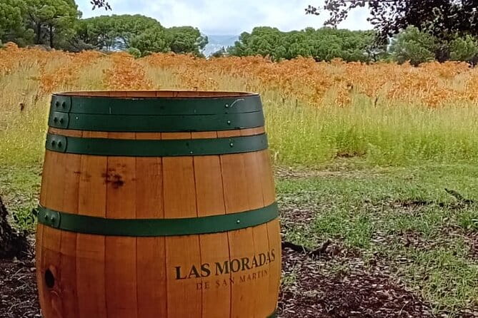 Madrid Wine Tour: Visit Two Wineries with Tastings - Practical Details and Tips