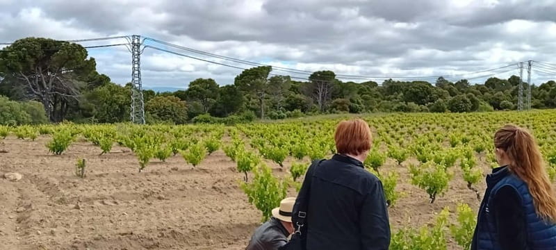 Madrid Winery Tour with Tasting & Sommelier Guide - Final Thoughts