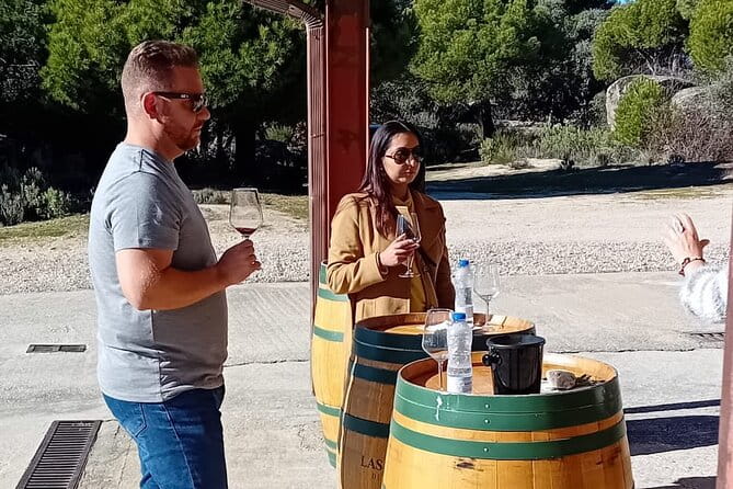 Madrid Winery Tour with Tasting & Sommelier Guide - Who Is This Tour Best Suited For?