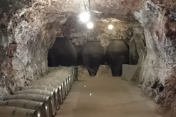 Madrid Winery Tour with Tasting & Sommelier Guide - Final Thoughts: Worth the Short Journey from Madrid
