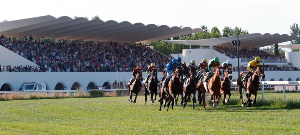 Madrid: Zarzuelas Racecourse Guided Tour - Tour Experience and Itinerary
