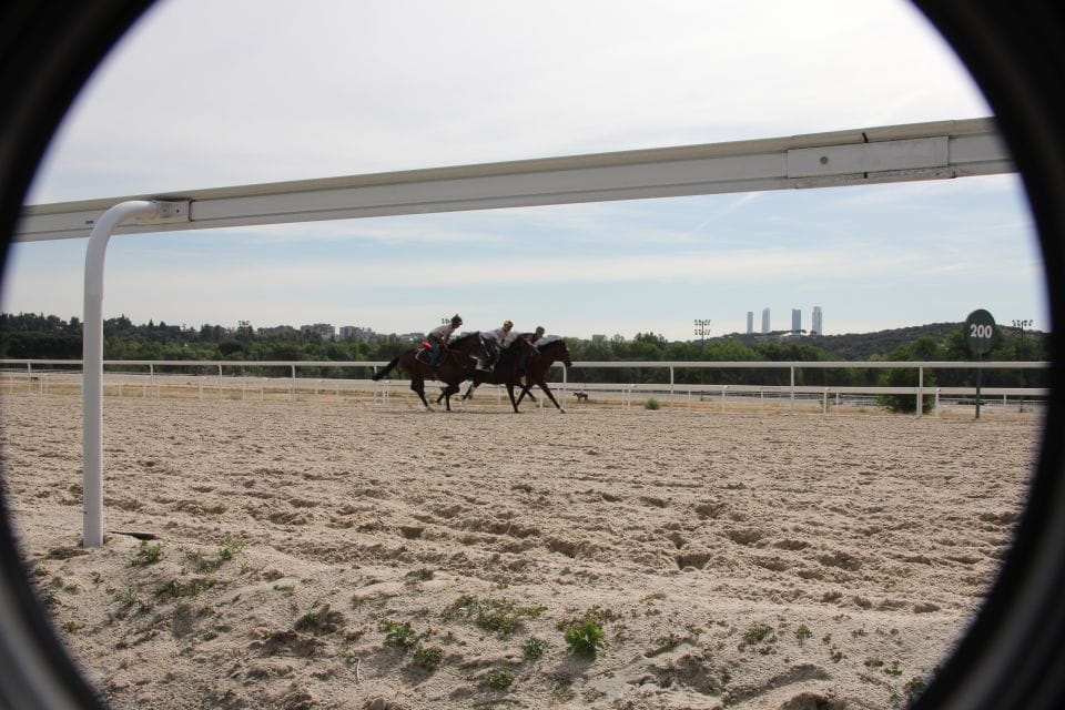 Madrid: Zarzuelas Racecourse Guided Tour - Highlights of the Tour