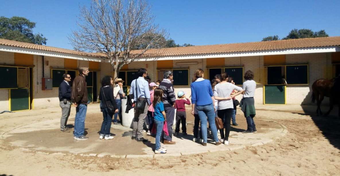 Madrid: Zarzuelas Racecourse Guided Tour - Customer Reviews