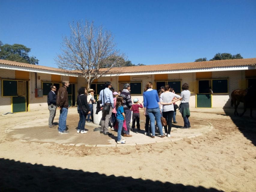 Madrid: Zarzuelas Racecourse Guided Tour - What to Wear