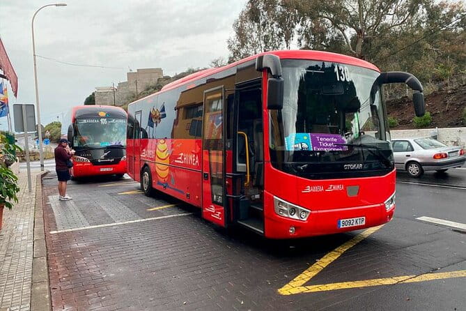 Magic Stargazing & Sunset in Teide with Dinner + Telescopes - Who Will Love This Tour?