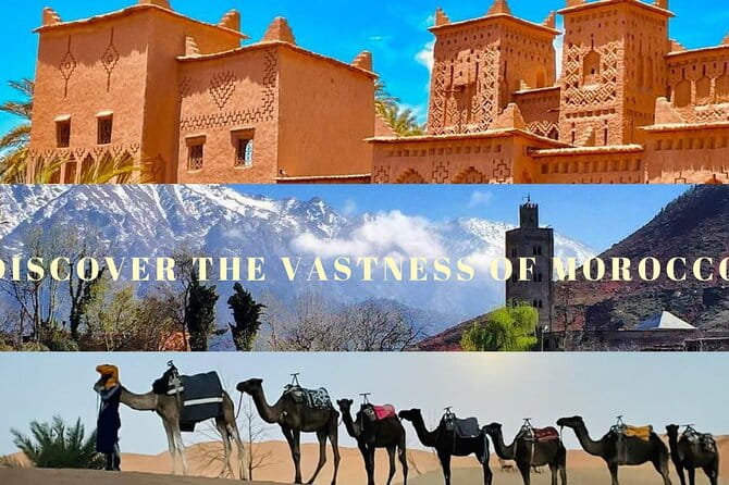Magical Morocco 8 Days (190$ per Day ) - Dining and Meals