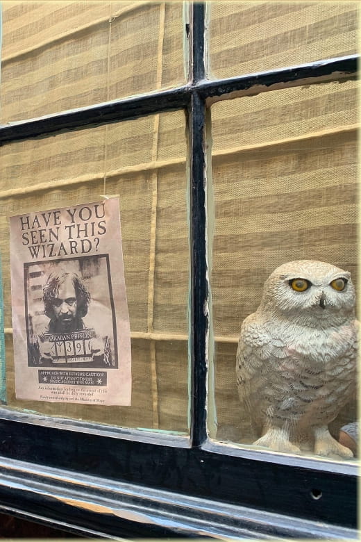 Magical Movies: London Harry Potter Tour - Highlights