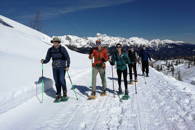 Magical Snowshoeing in Bohinj valley - Key Points
