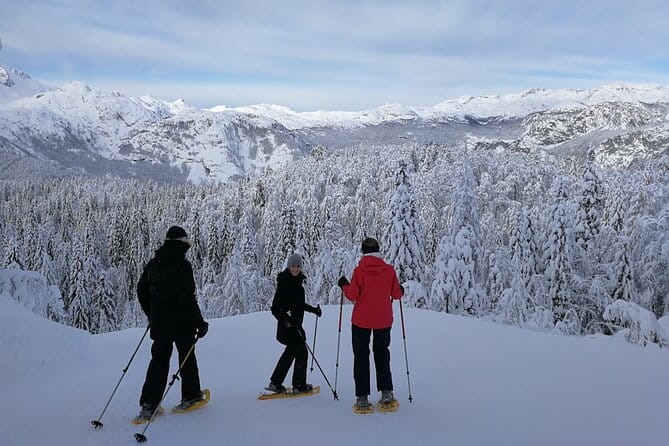 Magical Snowshoeing in Bohinj valley - FAQ About the Snowshoeing Tour in Bohinj Valley