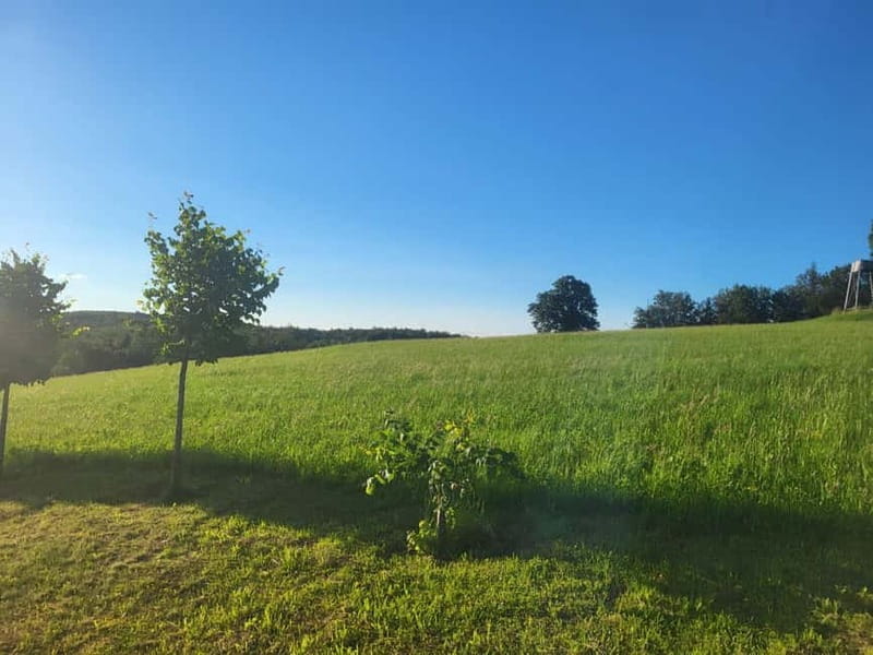 Magical Stargazing & uemberk Medieval castle tour inc. BBQ - Celestial wonders: Naked eye and telescope viewing