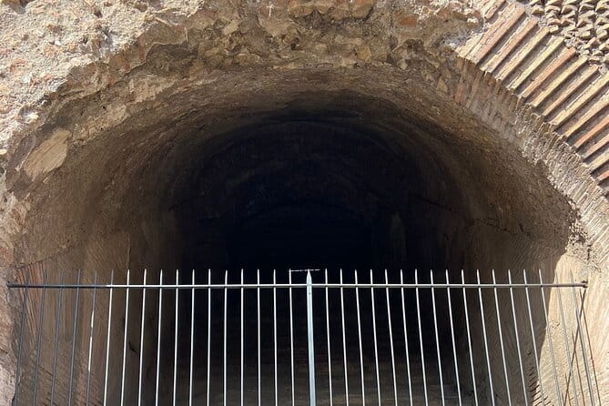 Magnificent tour of Gladiator Arena, Colosseum and Imperial Forum - Practical Details and What They Mean for You