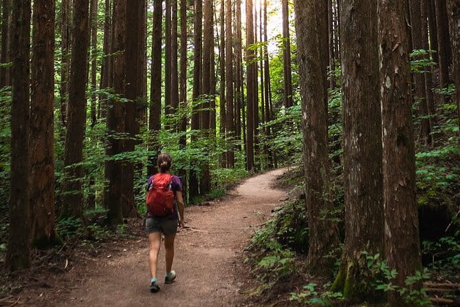 Magome to Tsumago Hiking Tour From Nagoya - Key Points