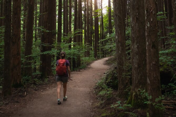 Magome & Tsumago Nakasendo Trail Day Hike With Government-Licensed Guide - Learning About Japanese History and Culture