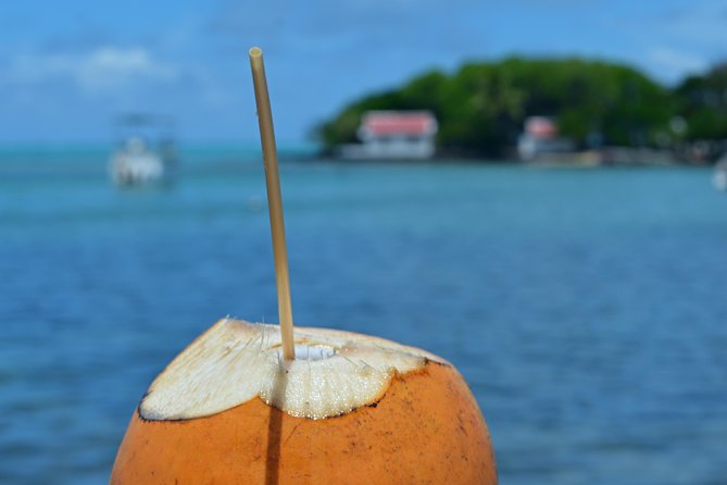 Mahebourg Village Food Tour - Key Points