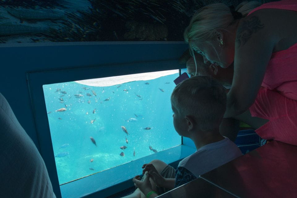 Mahon: Harbor Boat Tour With Underwater Viewing & Commentary - Customer Reviews