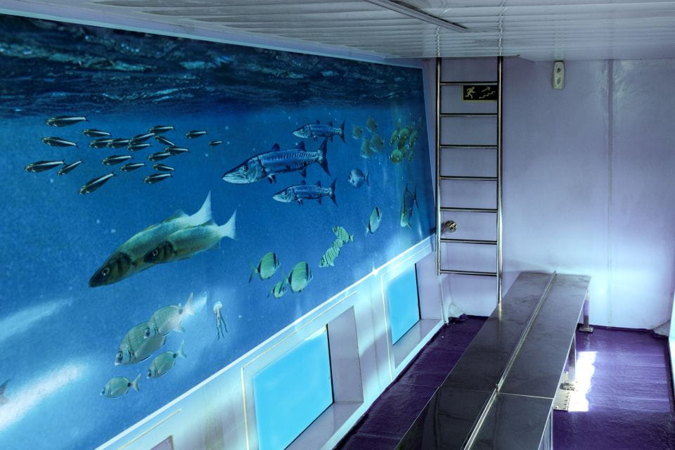 Mahon: Harbor Boat Tour With Underwater Viewing & Commentary - Things To Know