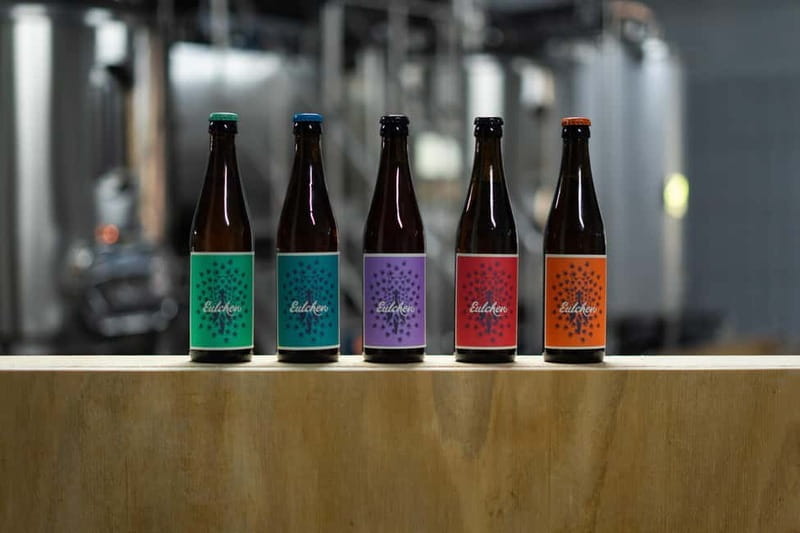 Mainz: Eulchen beer tasting at the mainz STORE - Mainz: Eulchen Beer Tasting at the mainz STORE – A Flavorful Peek into Local Brews