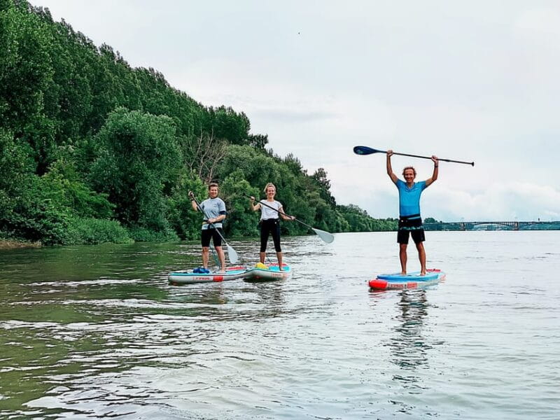 Mainz: Stand Up Paddling Tour on the Rhine River - Why This Paddling Tour Offers Real Value