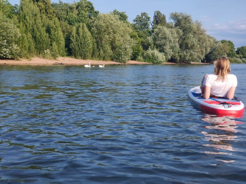 Mainz: Stand Up Paddling Tour on the Rhine River - Final Thoughts: Why This SUP Tour Is Worth Considering