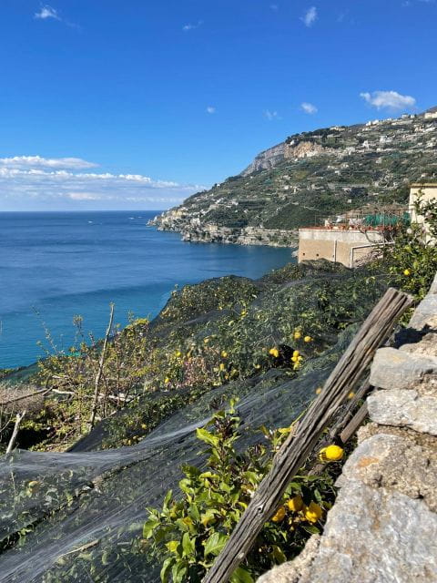 Maiori: Amalfi Coast Path of Lemons Day Trip with Tastings - Key Points and Takeaways