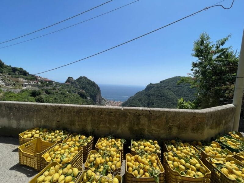 Maiori: Amalfi Coast Path of Lemons Day Trip with Tastings - FAQ