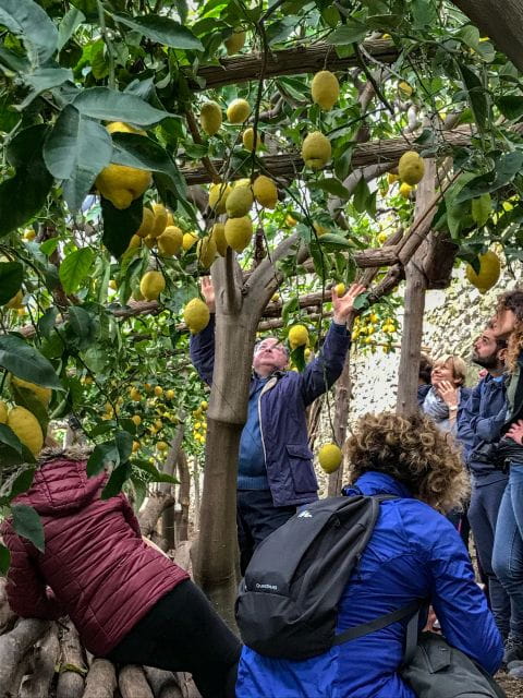 Maiori: Amalfi Coast Path of the Lemon private walking tour - Final Thoughts: Is It Worth It?