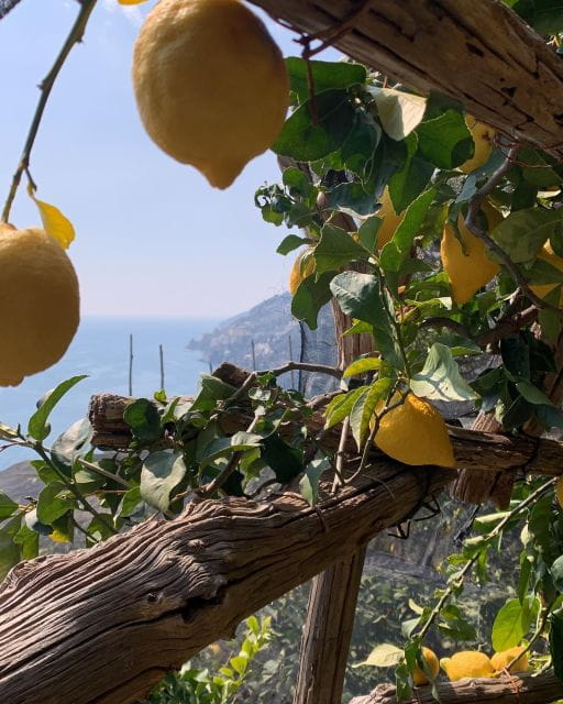 MAIORI: Easy Private Hiking Trail  Path of Lemons - A Detailed Guide to the Path of Lemons: What’s in Store?