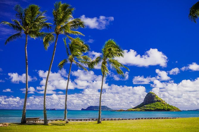 Majestic Circle Island Eco Tour From Waikiki - Local Insights