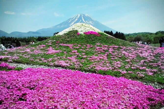 Majestic Mount Fuji: Exclusive Private Day Tour - Inclusions and Amenities