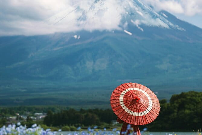 Majestic Mount Fuji: Exclusive Private Day Tour - Customer Feedback and Reviews