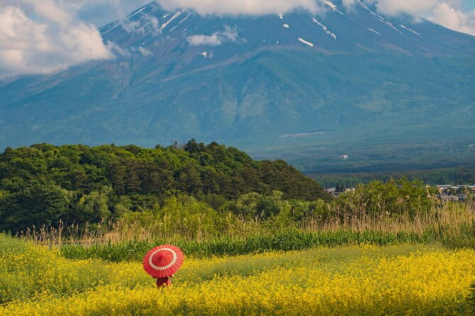 Majestic Mount Fuji: Exclusive Private Day Tour - Suggested Itinerary Highlights