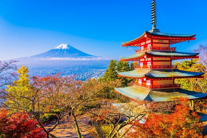 Majestic Mount Fuji: Exclusive Private Day Tour - Local Cuisine and Dining Options