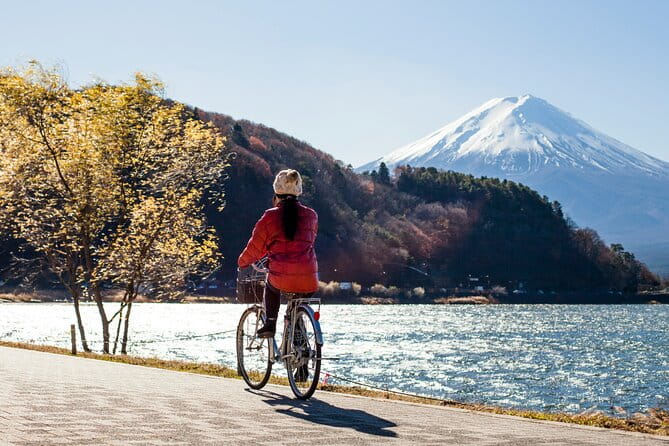 Majestic Mount Fuji: Exclusive Private Day Tour - How to Book Your Tour