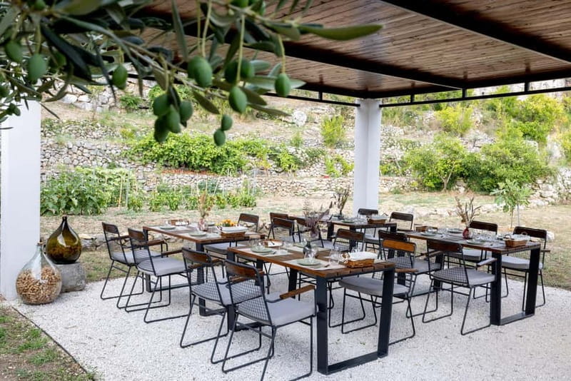 Makarska: City Tour & Olive Oil Tasting with a Tuk Tuk - An Olive Grove Escape: Tasting in Nature