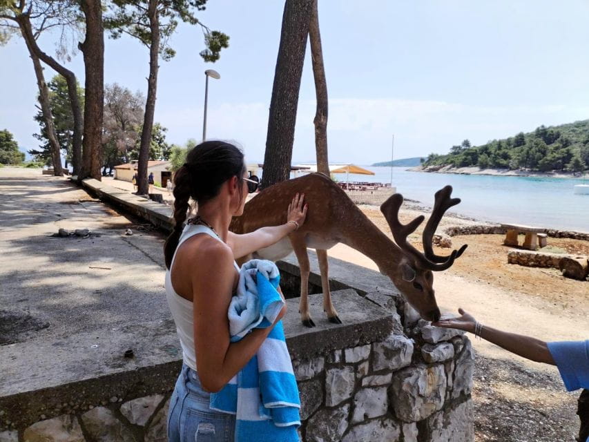Makarska: Korcula, Deer Island & Shipwreck Speedboat Tour - Peljesac Peninsula