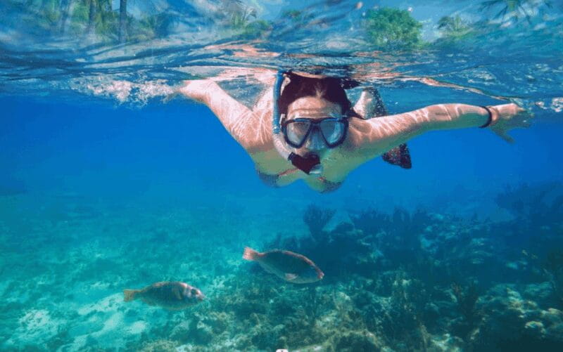 Makarska: Sea kayaking & snorkeling adventure - The Return Paddle: A Quiet Reflection