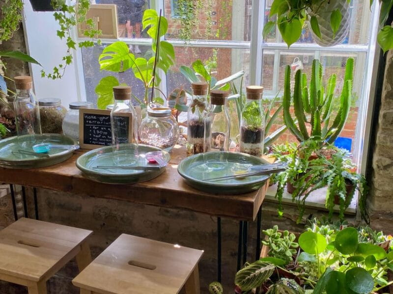 Make Your Own Terrarium in a houseplant paradise - Key Points / Takeaways