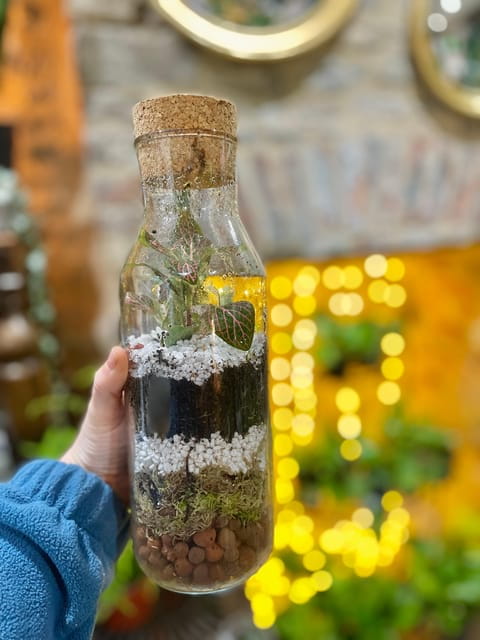 Make Your Own Terrarium in a houseplant paradise - Making the Most of Your Cotswold Plant House Terrarium Workshop
