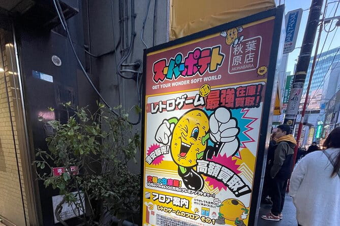 Make Your Own Tokyo Tour With an Experienced/Certifed Guide - Inclusions of the Tour Package