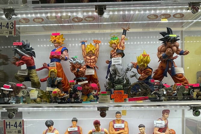 Make Your Own Tokyo Tour With an Experienced/Certifed Guide - Meeting and Pickup Details