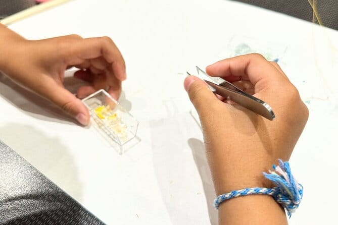 Making Harborarium Chopstick Rests With Dried Flowers Shinagawa - Accessibility Information