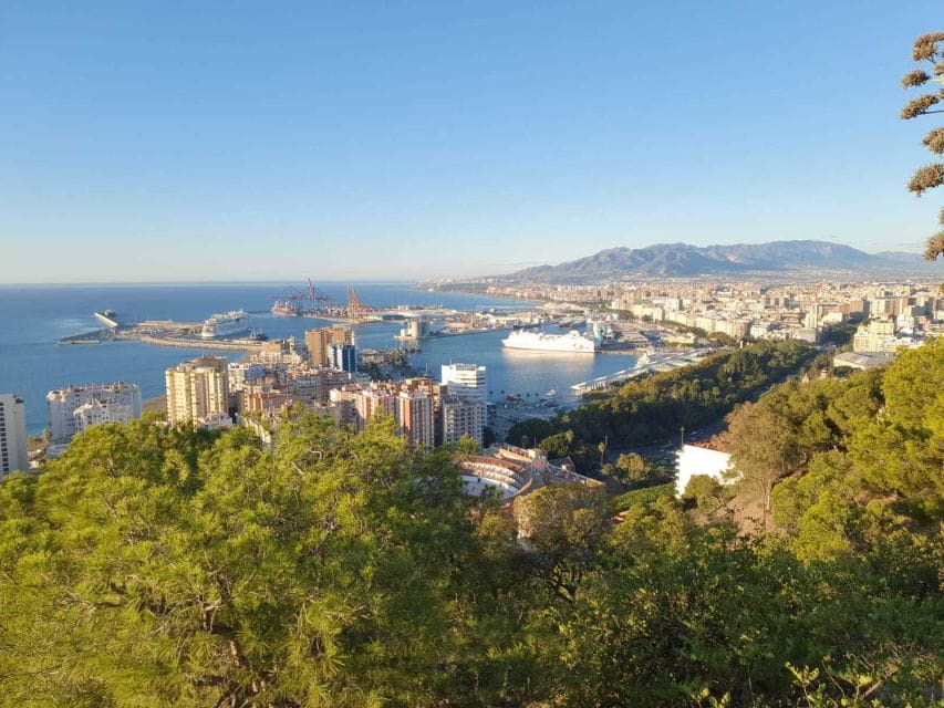 Malaga: 2-Hour Guided City Highlights Tour by Electric Bike - Important Information