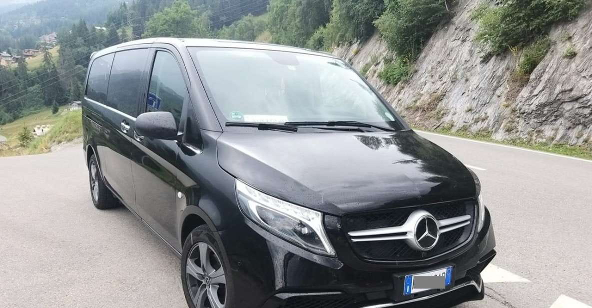 Malaga Airport (AGP): Private Transfer to Marbella - Amenities