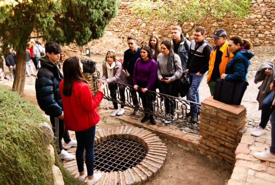 Málaga: Alcazaba and Roman Theatre Guided Tour With Entry - Accessibility Information