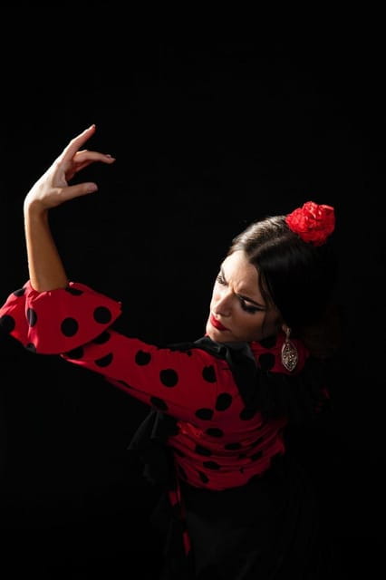 Malaga: Authentic Flamenco Dinner Show at Vino Mio - Authentic Flamenco Dinner Show at Vino Mio in Malaga: A Deep Dive