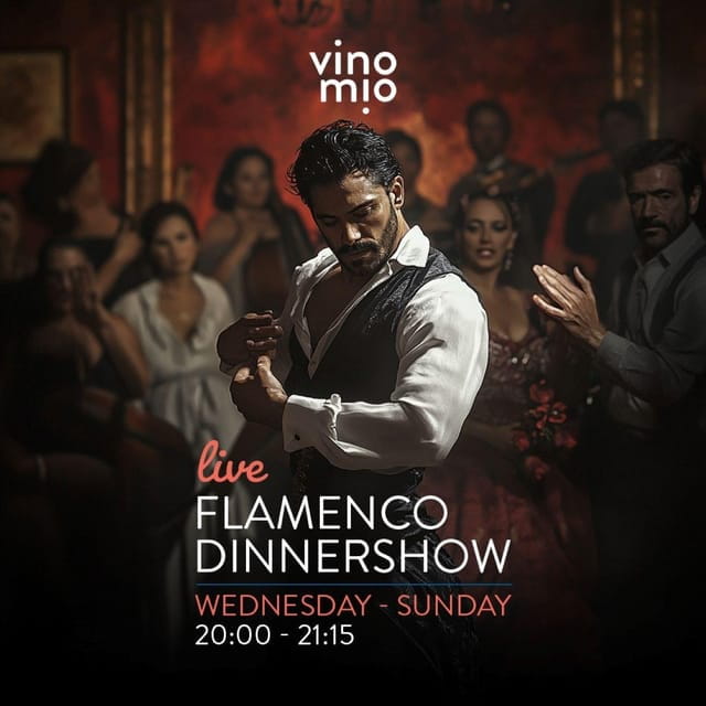 Malaga: Authentic Flamenco Dinner Show at Vino Mio - Key Points / Takeaways