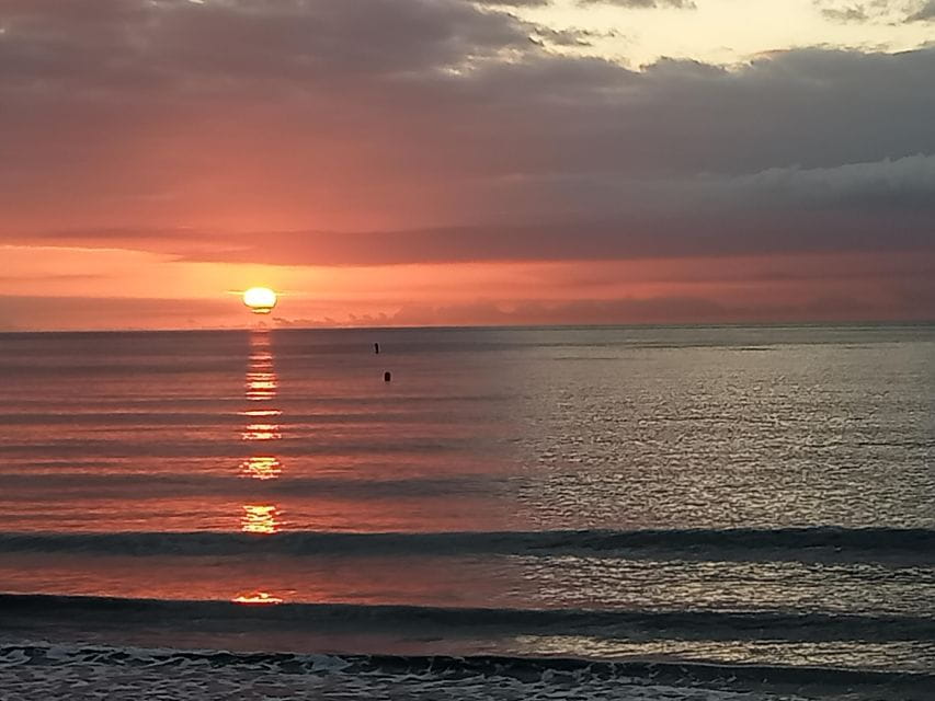 Malaga Bike Tour - Street Art, City Center, Bay Area - Experience Highlights